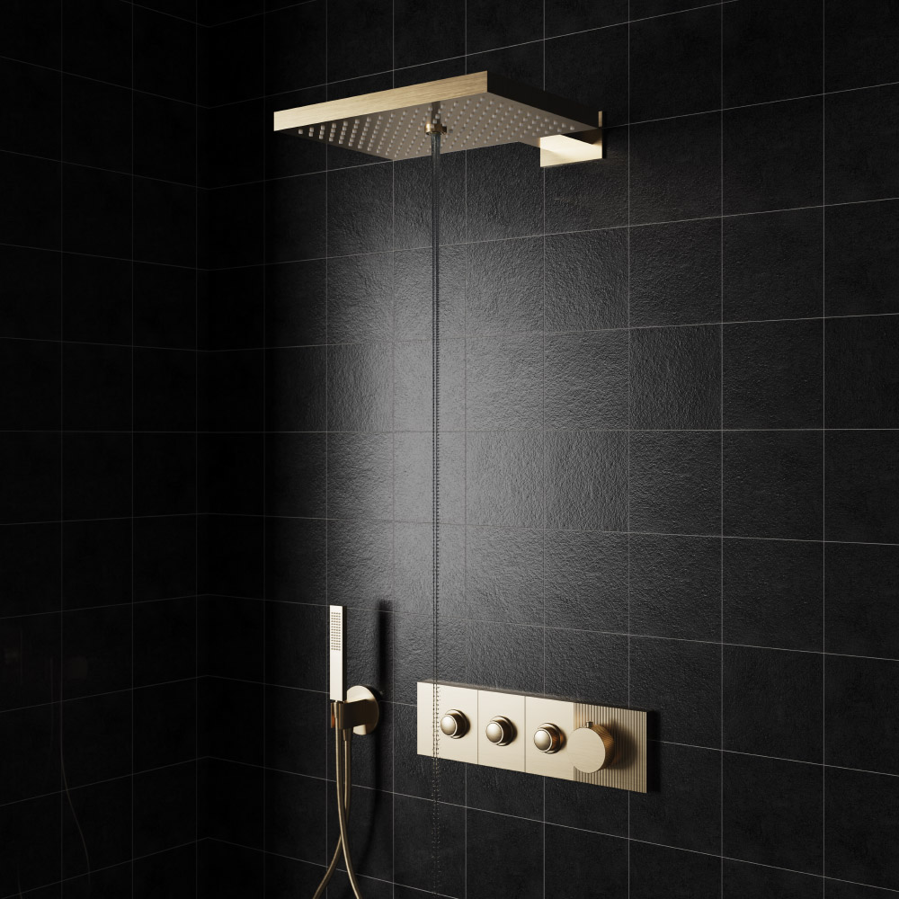 Multi Function Wall Shower 